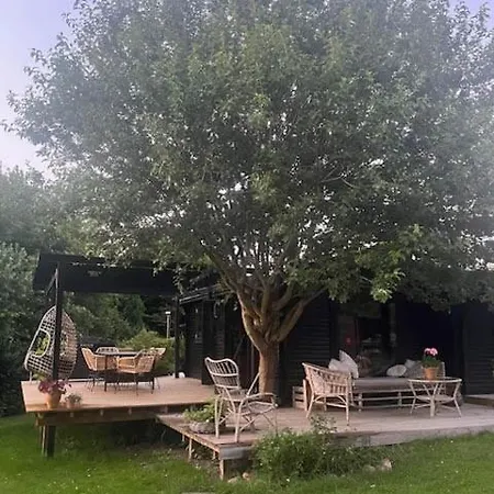 Charming Log In The Heart Of